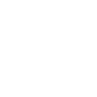 Cerebras Systems Logo
